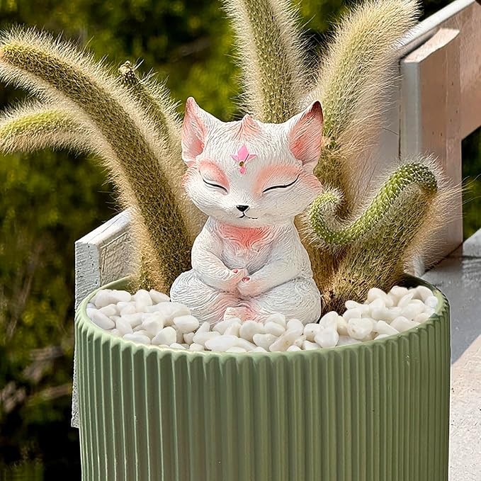 FANTIAN White Pebbles for Indoor Plants, 3/8 Inch Decorative White Stones. - Image 6