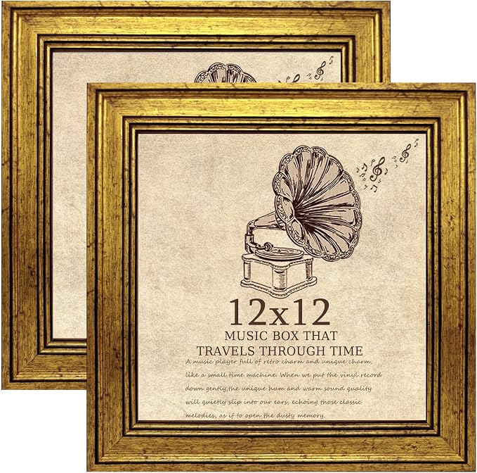 12x12 Picture Frame set of 2-Vintage Frames by TKYGU