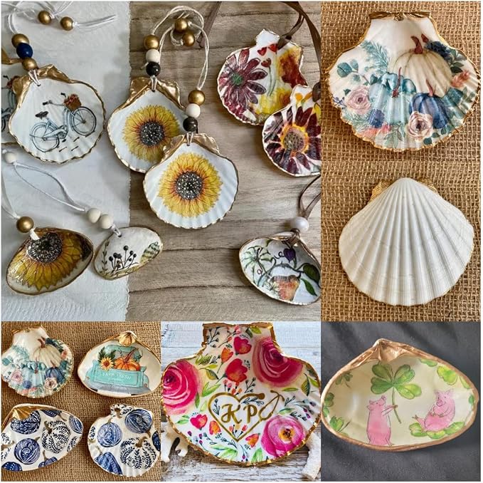 SEAJIAYI 10 PCS Large Scallop Shells 4-5 inch Natural White Scallop Shells from - Image 3