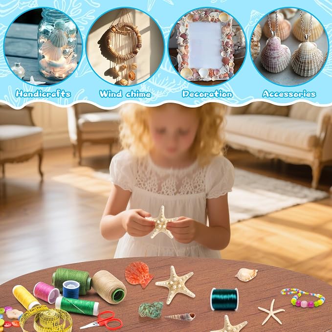WEOXPR Mixed Seashells & Starfish Decor - Image 4