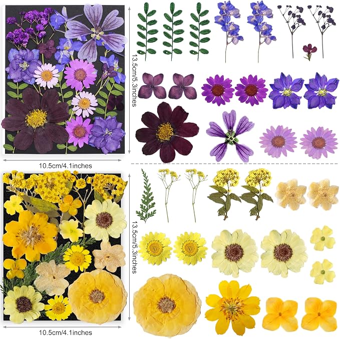 285Pcs 9 Packs Mixed Types Real Natural Dried Pressed Flowers & Leaves - Image 5
