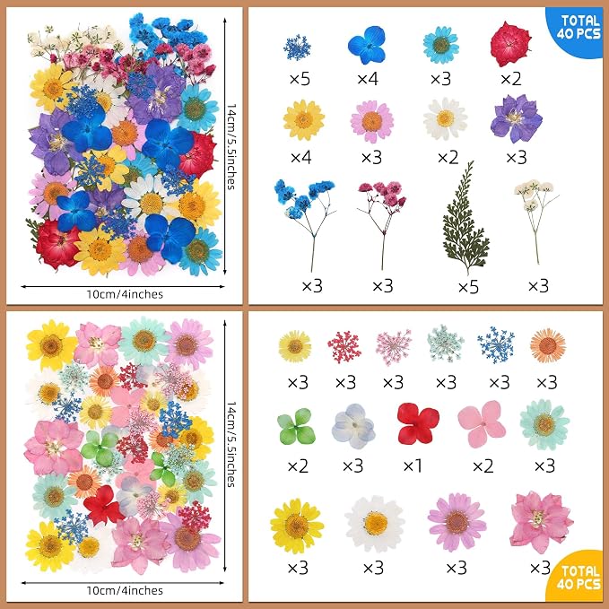 Tessera 160+ Pcs Real Pressed Flowers - Image 8
