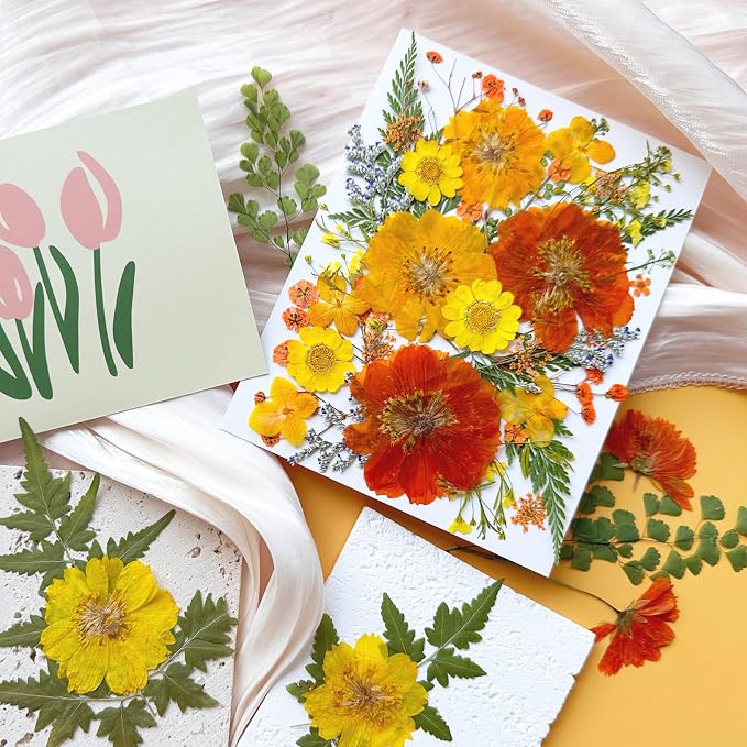 35Pcs Yellow Pressed Dried Flowers - Image 4