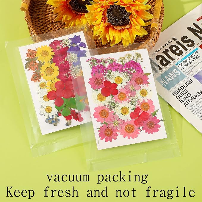 Augshy 141Pcs Dried Pressed Flowers - Image 4