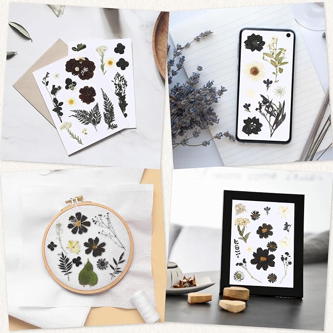 Augshy Black Dried Pressed Flowers, Scrapbooking, Soap Making - Image 7