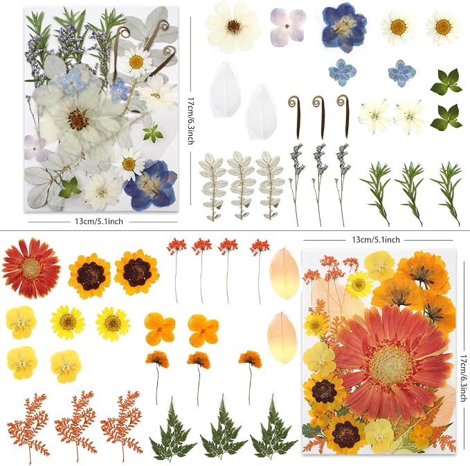 LUXEEASE 100P Vibrant Colors Large Dried Pressed Flowers | Gerbera daisy - Image 3