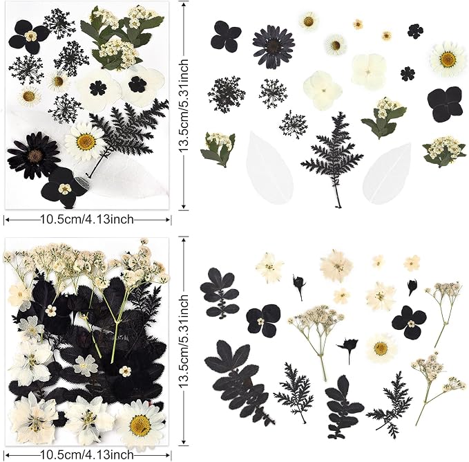DALARAN Black Dried Pressed Flowers - Image 5