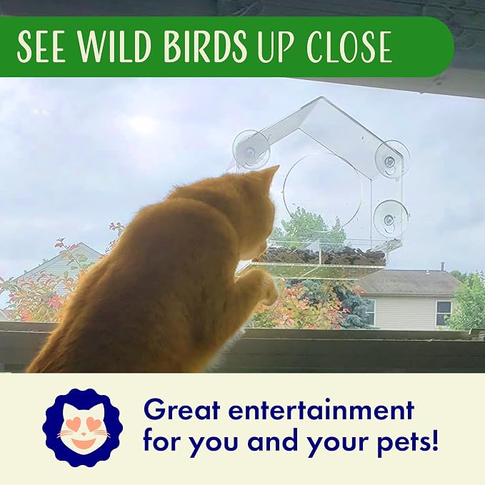 Clear Bird Feeders for Window Viewing Inside - Image 9