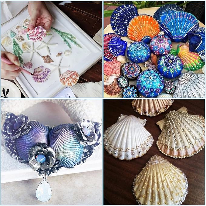 Jangostor 20 PCS Scallop Shells Natural Seashell, 2.3" to 3.5" White Scallop - Image 7