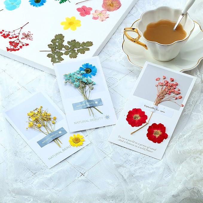 eBoot 72 Pcs Dried Pressed Flowers - Image 6