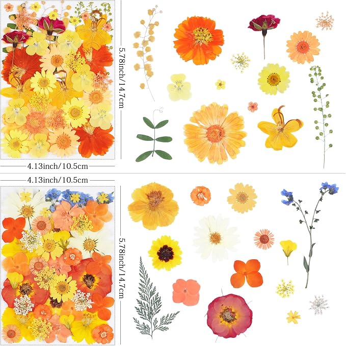 96Pcs Fall Dried Pressed Flowers - Image 2