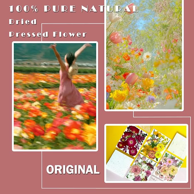 MIKIYA 86Pcs Dried Pressed Flowers - Image 2