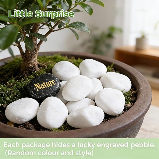 SIDONG 10 lbs White River Rocks, 1.2-2 Inches Matte Pebbles - Image 3