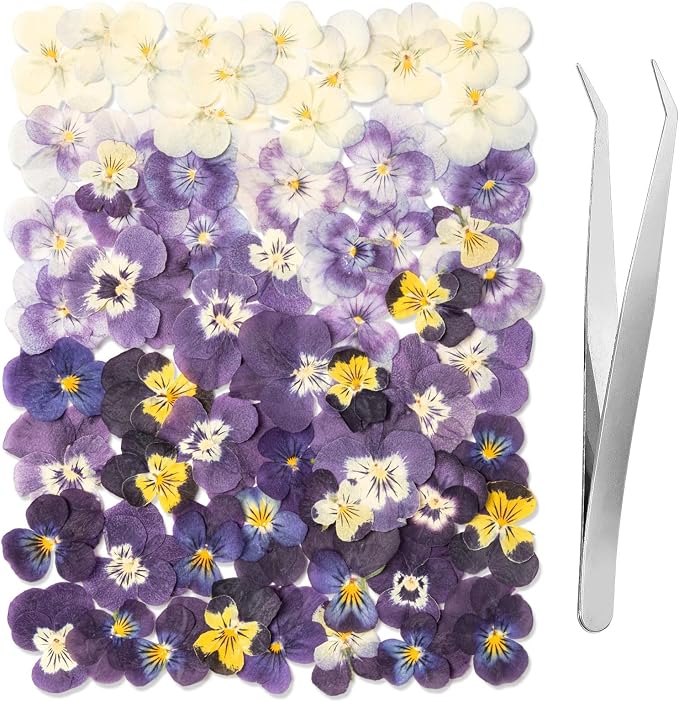 60Pcs Dried Pressed Pansies Flowers - Image 2