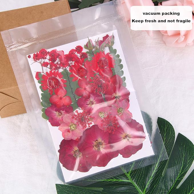 Augshy Red Dried Pressed Flowers, Pressed Red Roses Dried Flowers - Image 4