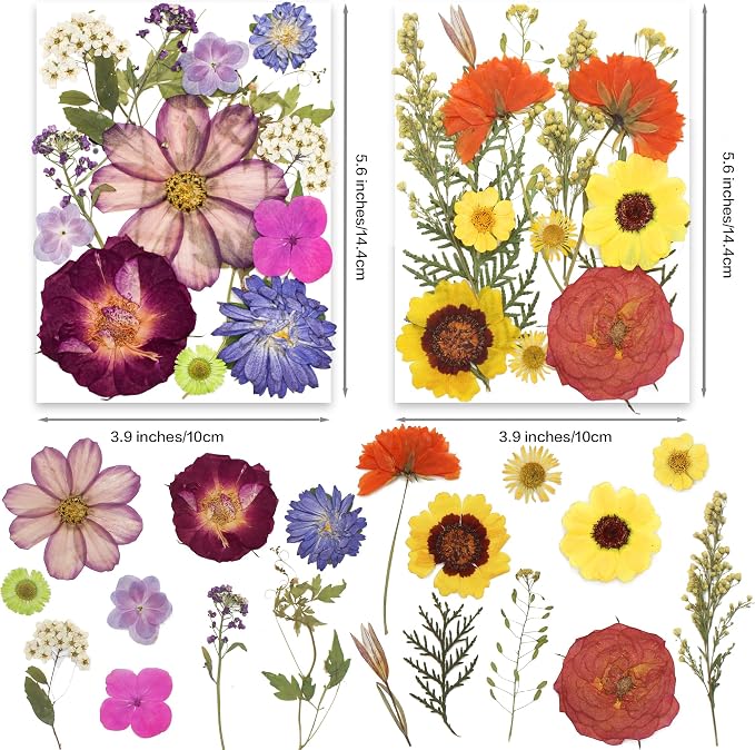 140Pcs Multi-Style Dried Pressed Flowers & Leaves - Image 5