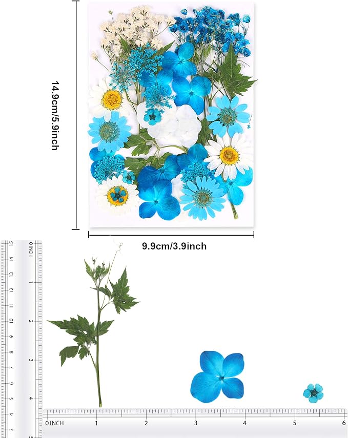Augshy Blue Dried Pressed Flowers - Image 2