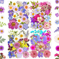 MIKIYA 91Pcs Purple Pressed Dried Flowers by MIKIYA