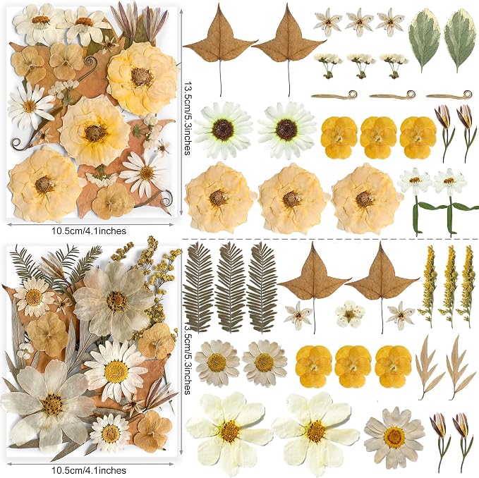 96PCS Vintage White Dried Pressed Flowers - Image 3