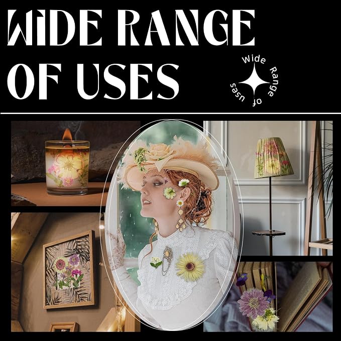 White Dried Pressed Flowers - Image 7
