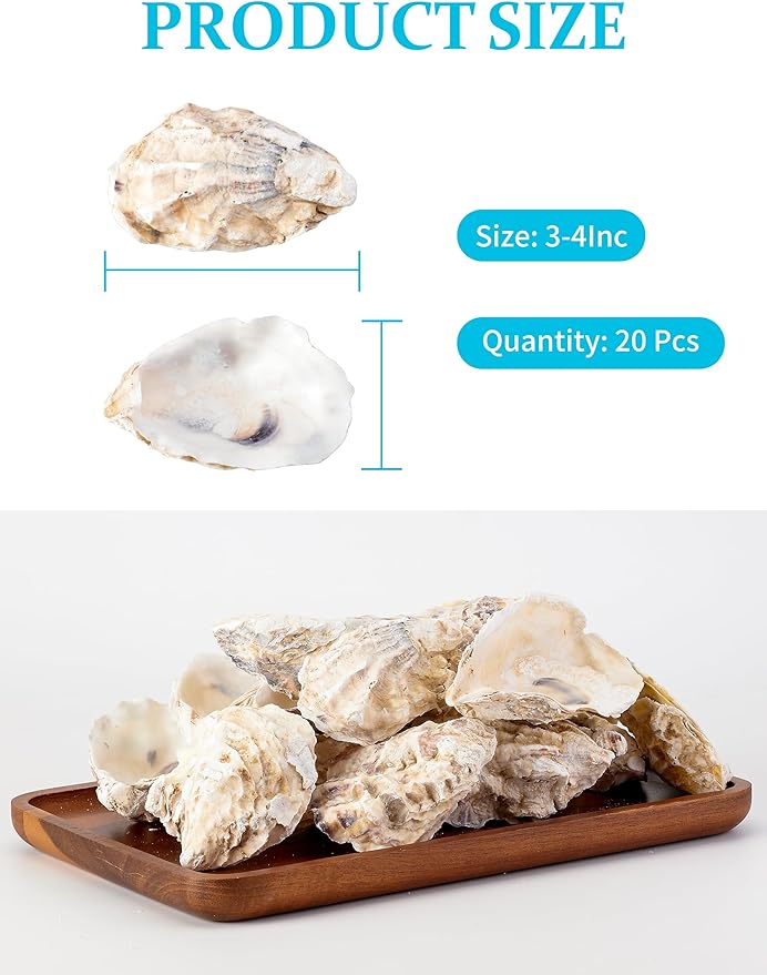 20Pcs Oyster Shells for Crafts， 3"-4" Large Oyster Shell for Crafts，Oyster - Image 5