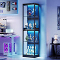 AMERLIFE RGB Display Open Cabinet by AMERLIFE