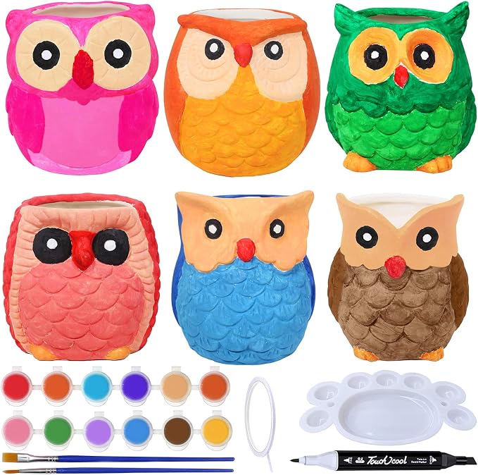 Winlyn 6 Sets DIY Ceramic Owl Succulent Pots Paint Craft Kit, Unpainted Ceramic - Image 2