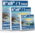 Halobios 3 Packs Stretched Canvases by Halobios