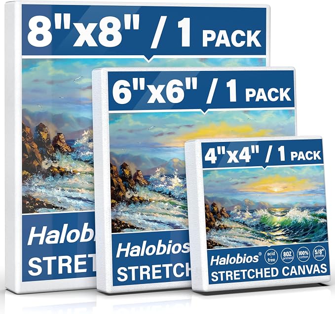 Halobios 3 Packs Stretched Canvases by Halobios