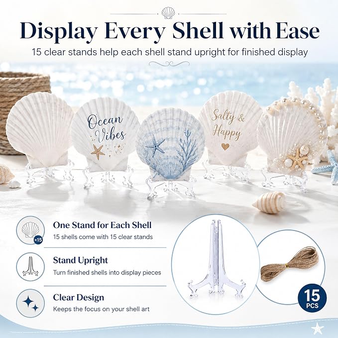 Cizavanta 15 Pack Large Scallop Shells - Image 5