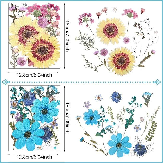 Nuanchu Dried Flower for Crafts Resin Pressed Flowers Bulk, Large Real Dried - Image 3