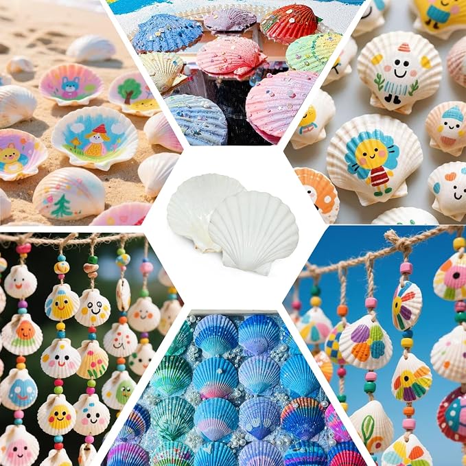 30PCS Natural Scallop Shells 2.3''-3'' White Sea Shells - Image 7