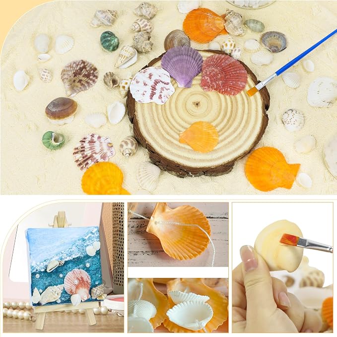 WEOXPR Mixed Sea Shells, 100+ Pcs Beach Seashells Starfish, Various Sizes Ocean - Image 5