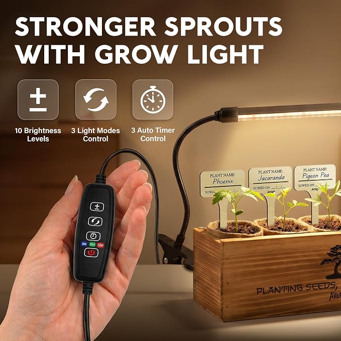 Bonsai Tree Kit Deluxe + Growing Light - Image 2