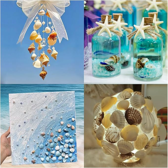 1200 PCS Natural Seashells, Joyfulmap Tiny sea Shells & Small Starfish - Image 8