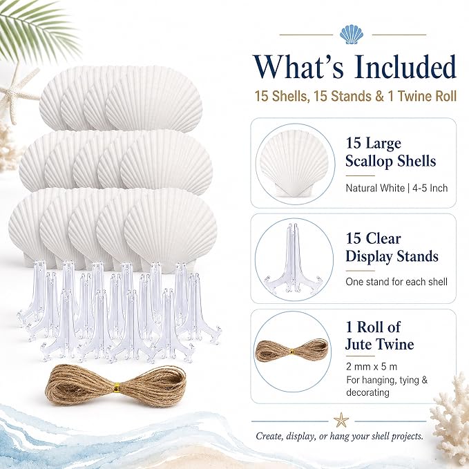 Cizavanta 15 Pack Large Scallop Shells - Image 2