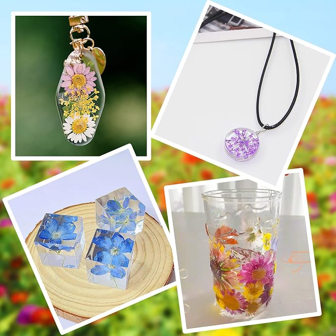 Augshy 141Pcs Dried Pressed Flowers - Image 6