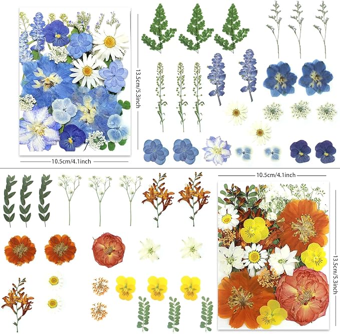 LUXEEASE 4-Color 100P Vibrant Dried Pressed Flowers | Vivid blue orange pink - Image 2