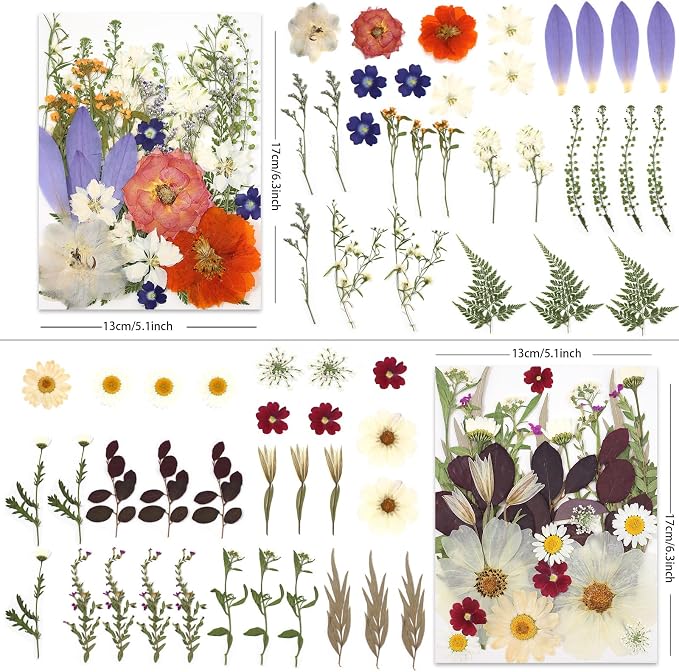 LUXEEASE 4 Color 120P Mixed Blooms Dried Pressed Flowers | Big small blooms - Image 3