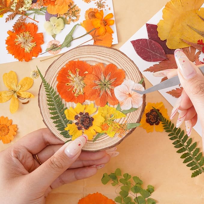 100 Pcs Fall Dried Pressed Flowers - Image 7