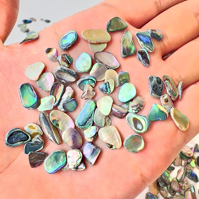 Abalone Shell Slices, Polished Abalone Slices - Image 4