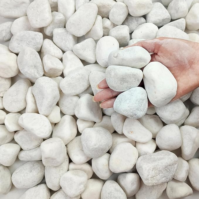 FANTIAN 40 lbs White River Rocks by FANTIAN-GardeningMakesLifeBetter