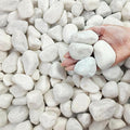 FANTIAN 10 lbs White Gravel for Aquarium, 2-3 Inch Large Pebbles for Planters by FANTIAN-GardeningMakesLifeBetter