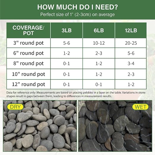 NUPICK 6lb Mexican Beach Pebbles, Smooth Garden Rocks - Image 2