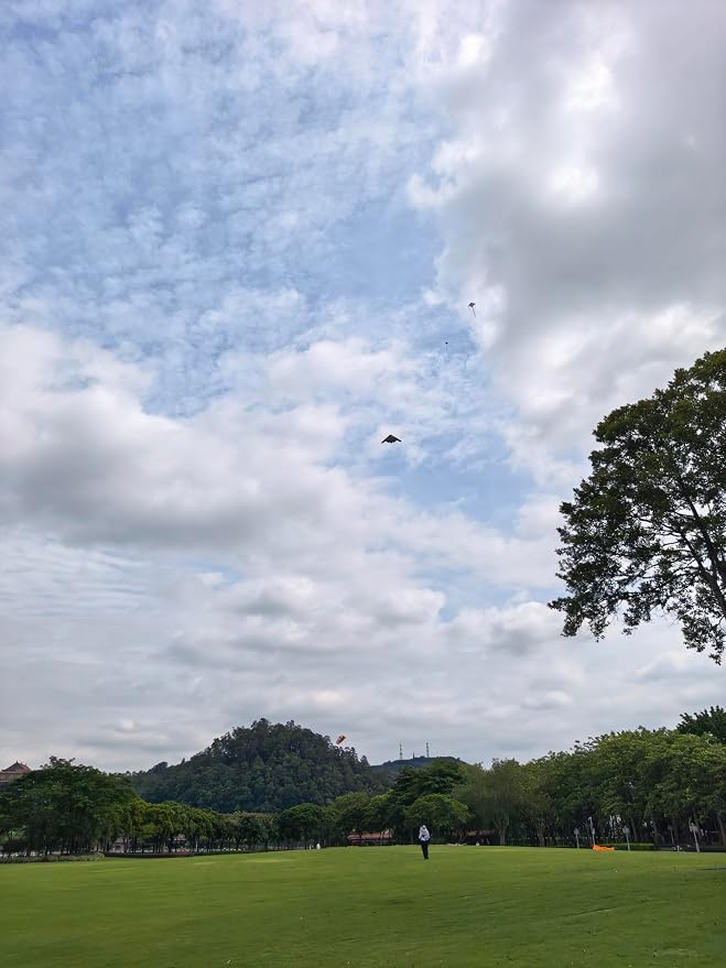 B2 Model Airplane Kite, Large Easy to Fly Kites Adults, 300FT String Reel - Image 8