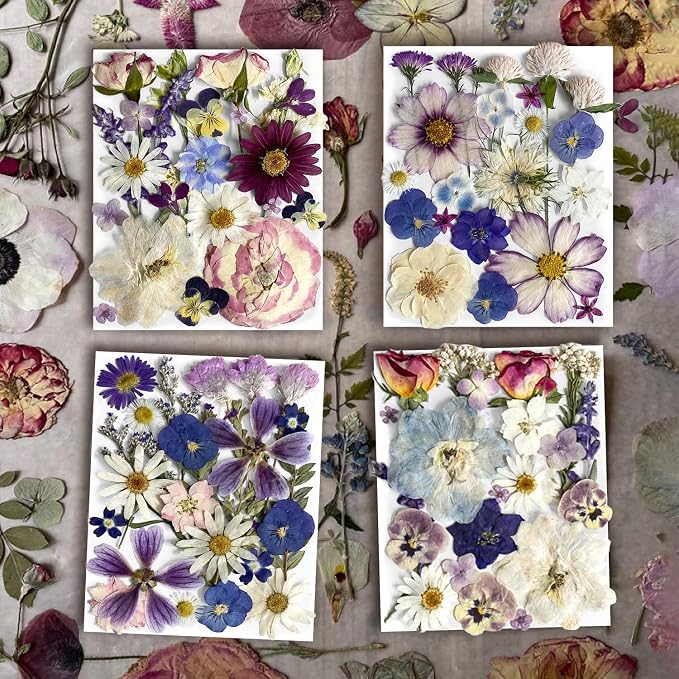 Purple Pressed Flowers 88Pcs Real Natural Dried - Image 4