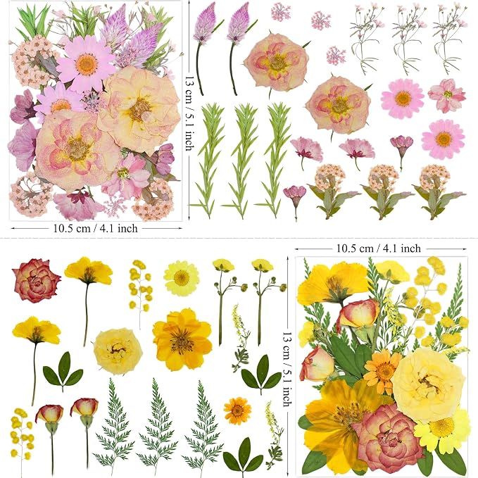 MIKIYA 86Pcs Dried Pressed Flowers - Image 5