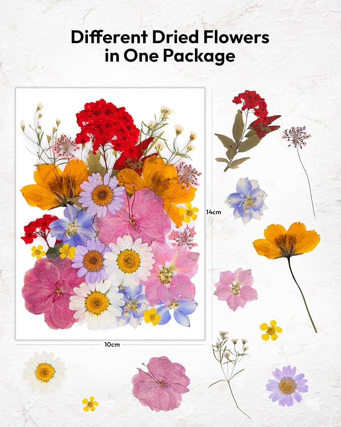 Dried Flowers, Resiners 100Pcs Pressed Flowers - Image 5