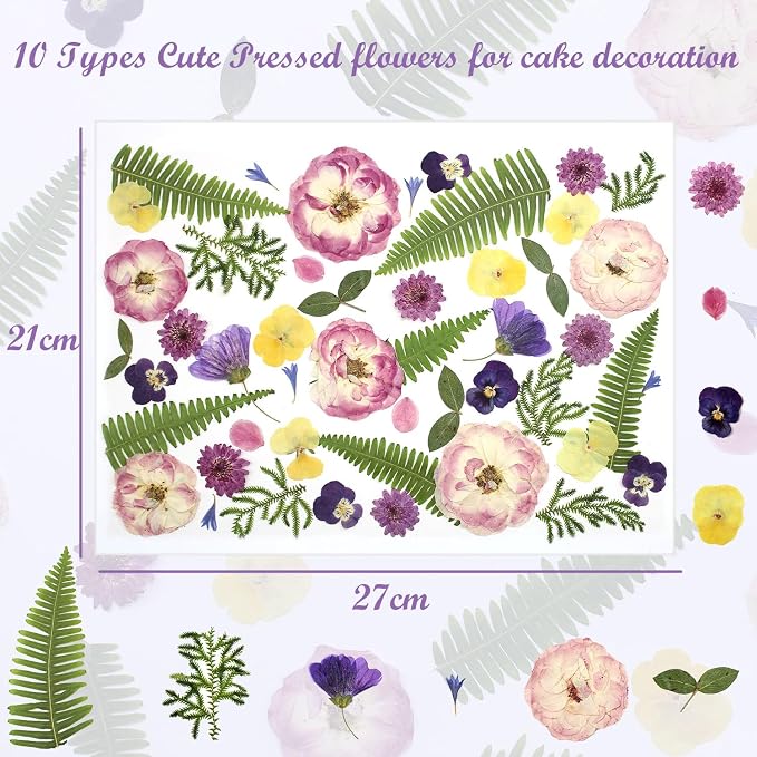 48 Pcs Mix Natural Dried Pressed Flowers - Image 4