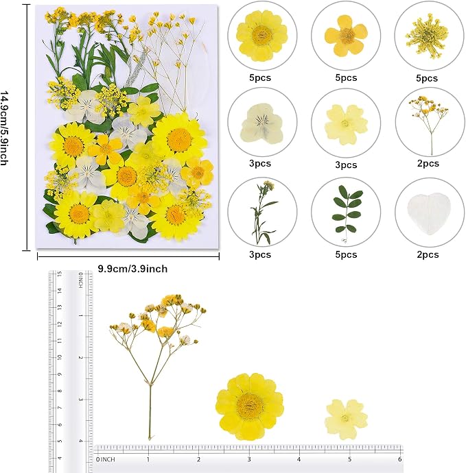 Augshy Dried Pressed Flowers - Image 2